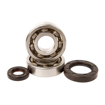 MAIN BEARING SEAL KIT ATC 250R 85 86