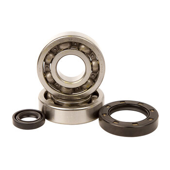 MAIN BEARING SEAL KIT TRX 500 FE/FM 05 11