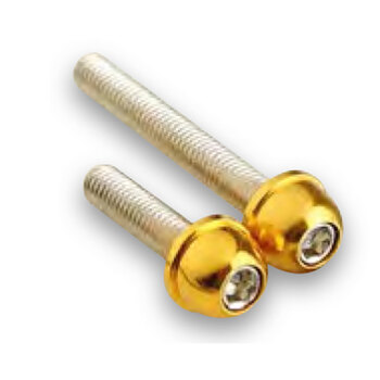 SCREW CONICAL TUNR CVT COVER BWS CHROME (12PCS)