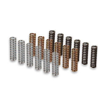 CLUTCH SPRINGS X9 EVOLUTION/SCARABEO 500.