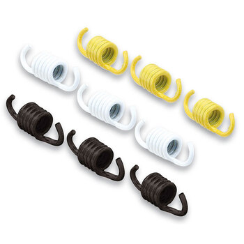 CLUTCH SPRINGS X9 EVOLUTION/SCARABEO 500.