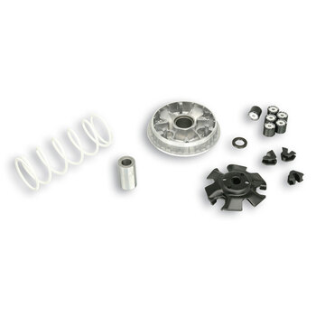 VARIATOR MULTIVAR SYM MIO