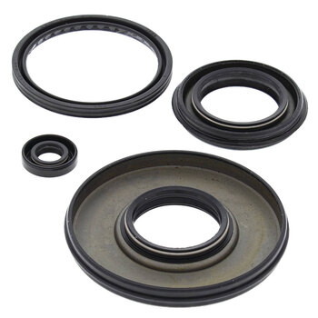 OIL SEAL KIT BRAVO 250 (84 09)