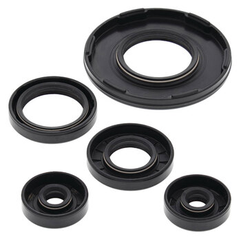 OIL SEAL KIT SKI DOO FORMULA Z 00