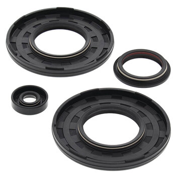 OIL SEAL KIT SKI DOO MX Z 600 99