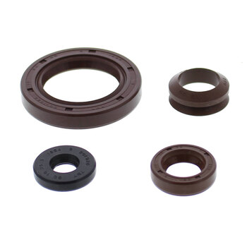 COMPLETE GASKET KIT W/SEALS SKANDIC SWT 800 07 12