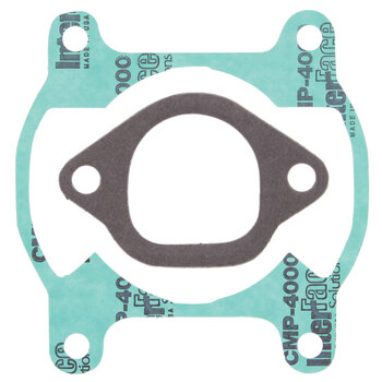 OIL SEAL KIT BRAVO 250 (84 09)