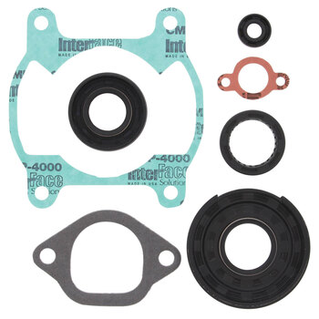 OIL SEAL KIT BRAVO 250 (84 09)