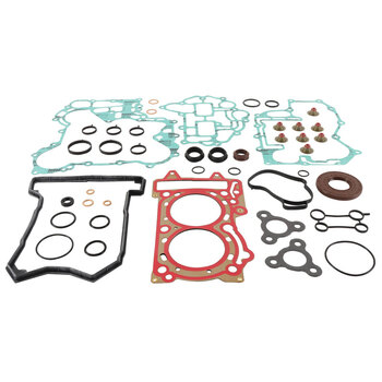 COMPLETE GASKET KIT W/SEALS EXPEDITION 800 16 18