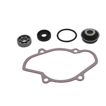 WATER PUMP REBUILD KIT POLARIS 600 800