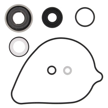 FUEL PUMP REBUILD KIT HON TRX420 FM 07 19
