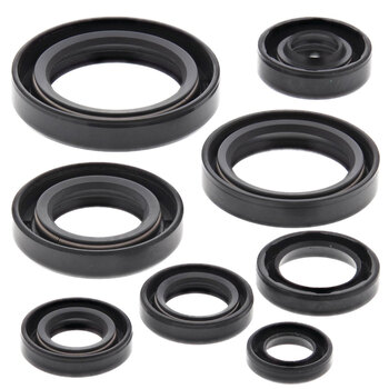 OIL SEAL KIT CITATION 250 (85 92)