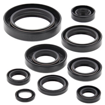 OIL SEAL KIT CITATION 250 (85 92)