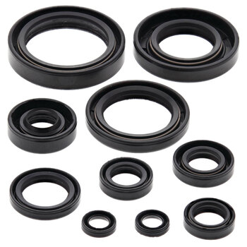 OIL SEAL KIT ZR600 (00 03)
