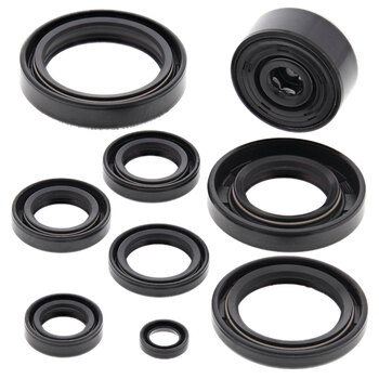 OIL SEAL KIT CITATION 250 (85 92)