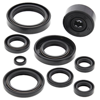 OIL SEAL KIT KX500 1986 87