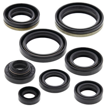 OIL SEAL KIT ZR600 (00 03)