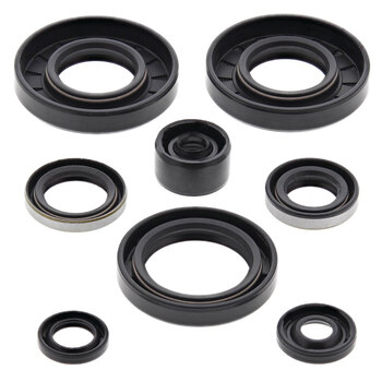 OIL SEAL KIT ZR600 (00 03)