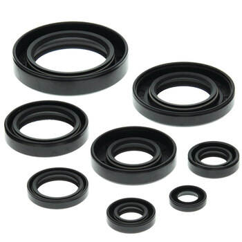 TOP END GASKET KIT(.010SS HEAD) ATC/TRX250R 85 89