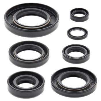 OIL SEAL KIT SKI DOO MX Z 600 99