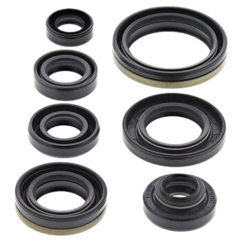 OIL SEAL KIT BRAVO 250 (84 09)