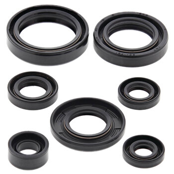 OIL SEAL KIT KX500 1983 84