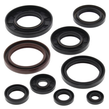 ENGINE OIL SEALS KIT GRIZZLY 660