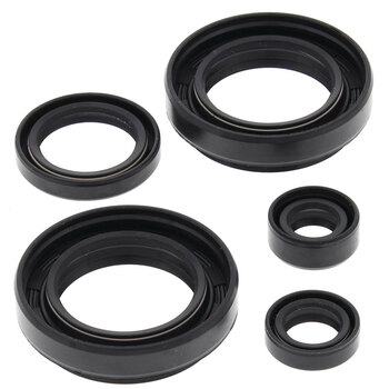 OIL SEAL KIT 400 DVX 04 08/KFX/LTZ400 03 09