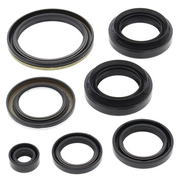 OIL SEAL KIT A.C. 366 AUTO 08 10
