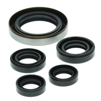 OIL SEAL KIT SKI DOO 800 2CYL (03 07)