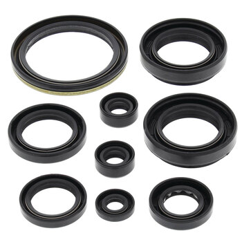 OIL SEAL KIT A.C. 366 AUTO 08 10
