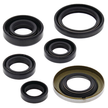 OIL SEAL KIT SKI DOO MX Z 600 99