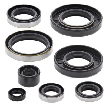 OIL SEAL KIT KX500 1985