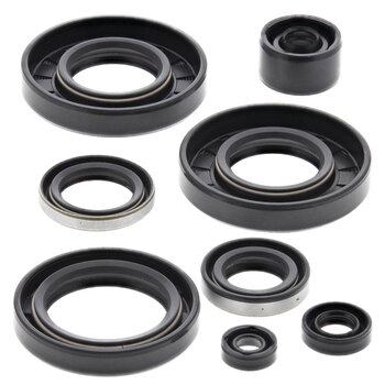 OIL SEAL KIT CITATION 250 (85 92)