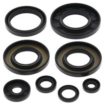 OIL SEAL KIT A.C. 366 AUTO 08 10