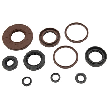 OIL SEAL KIT ARCTIC CAT ZR 6000 14 16