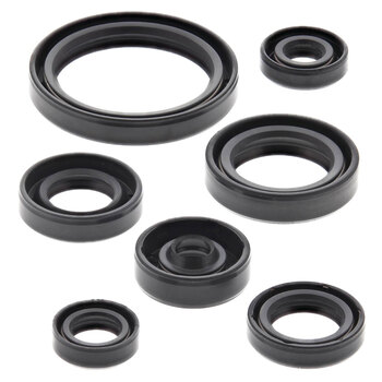 OIL SEAL KIT ARCTIC CAT ZR 6000 14 16