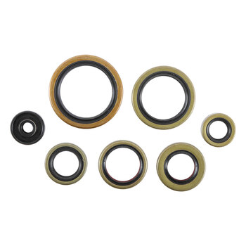 OIL SEAL KIT ELAN 250 (71 96)