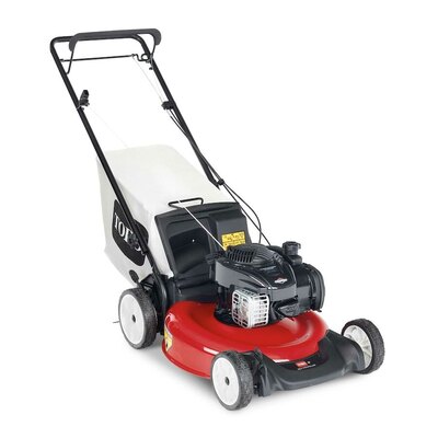 Toro 21 in. (53cm) Recycler® Variable Speed Self-Propel Gas Lawn Mower