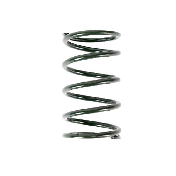 EPI PRIMARY DRIVE CLUTCH SPRING