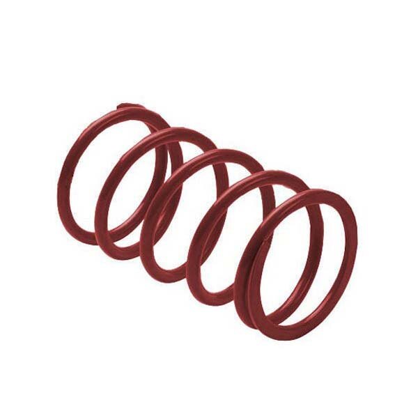 EPI SECONDARY DRIVEN CLUTCH SPRING