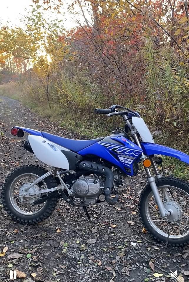 2019 Yamaha TTR 110