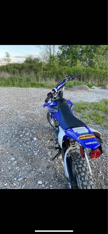 2019 Yamaha TTR 110