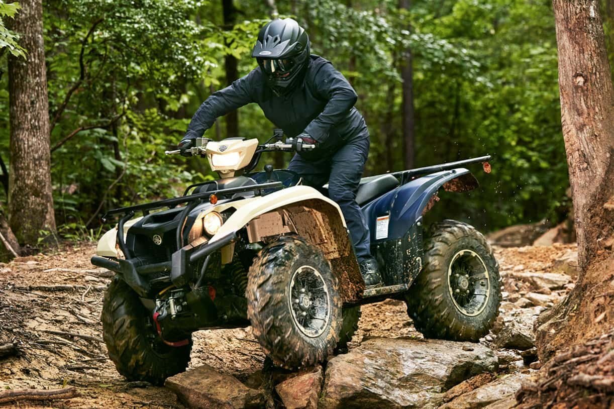 2025 Yamaha Kodiak 700 EPS SE