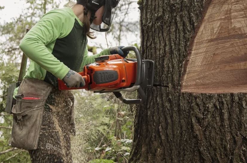 HUSQVARNA 592 XP® 32 X Tough RSN 3/8 1,5mm X Cut C85 SKU: 970 49 31 32