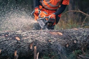 HUSQVARNA 592 XP® 32 X Tough RSN 3/8 1,5mm X Cut C85 SKU: 970 49 31 32