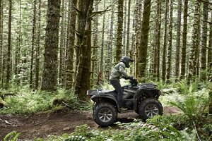 2025 Yamaha Grizzly EPS SE Matte Grey/Metallic Black