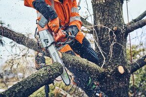 HUSQVARNA T542i XP® Bar length 14 in