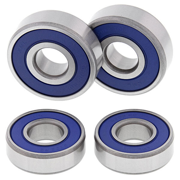 ALL BALLS WHEEL BEARING KIT (25 1198)