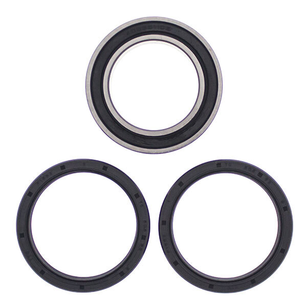 ALL BALLS WHEEL BEARING KIT (25 1630)